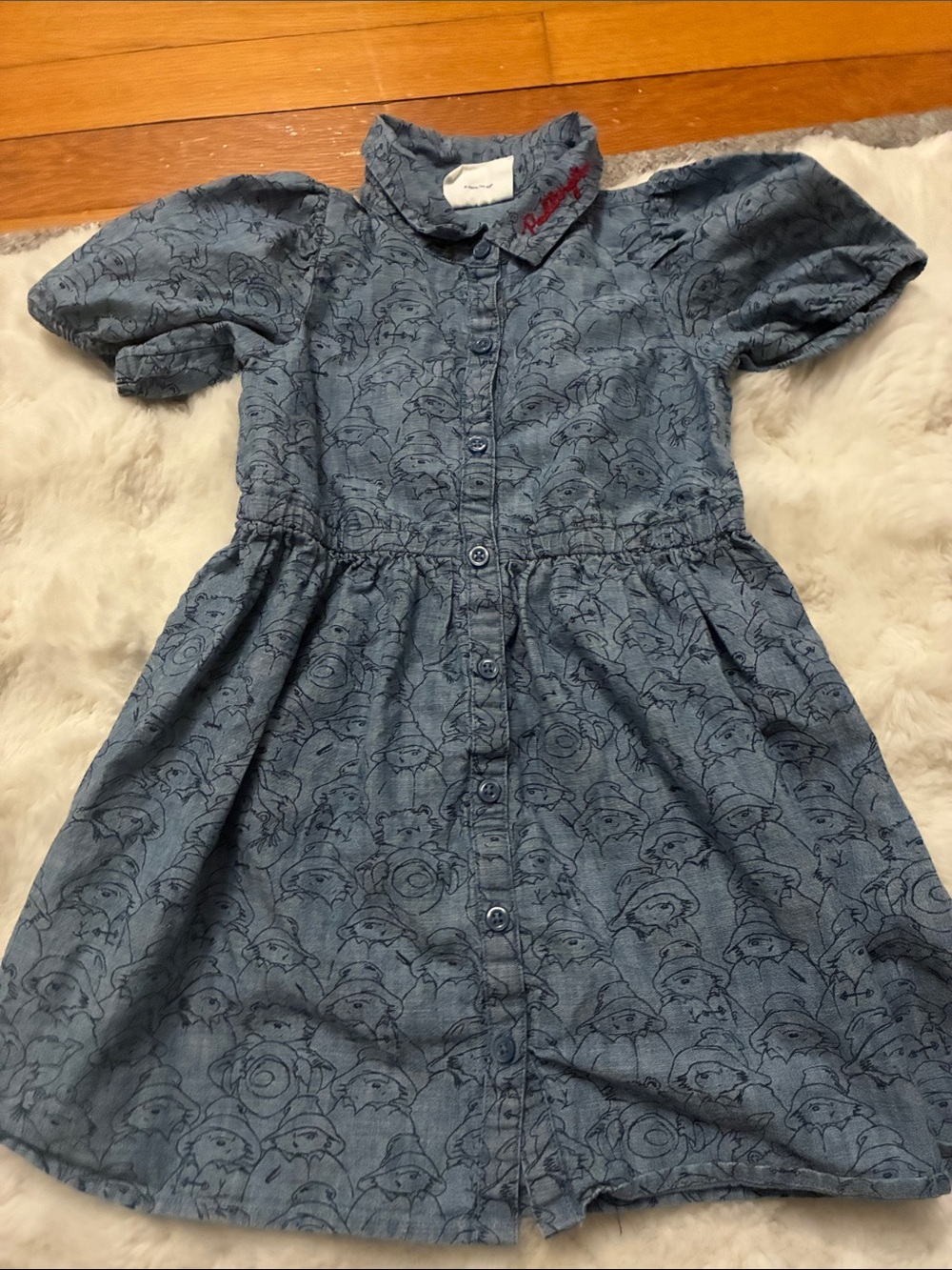 Girls' Gap Paddington Blue Button-Front Cotton Dress